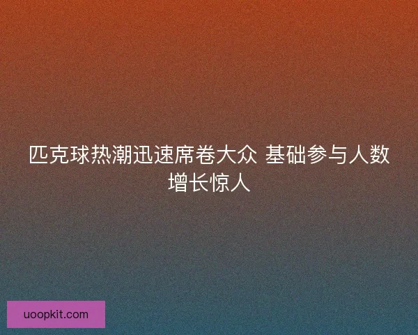 匹克球热潮迅速席卷大众 基础参与人数增长惊人 匹克球热潮迅速席卷大众 基础参与人数增长惊人