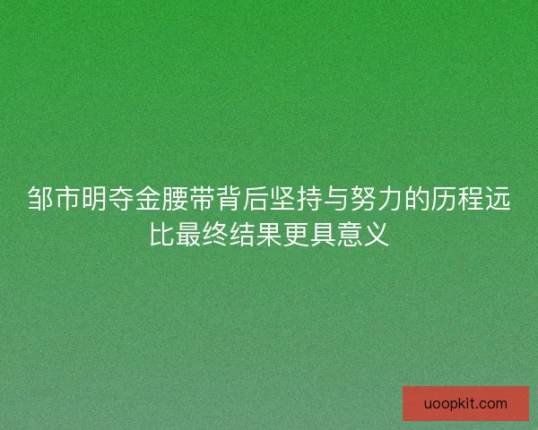 邹市明夺金腰带背后坚持与努力的历程远比最终结果更具意义 邹市明夺金腰带背后坚持与努力的历程远比最终结果更具意义
