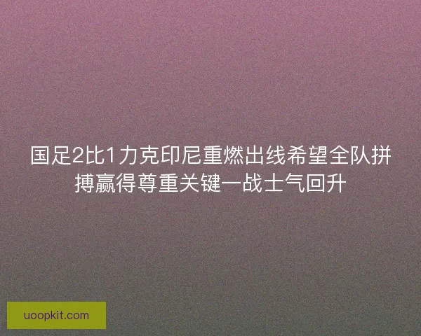 国足2比1力克印尼重燃出线希望全队拼搏赢得尊重关键一战士气回升