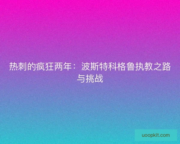 热刺的疯狂两年：波斯特科格鲁执教之路与挑战